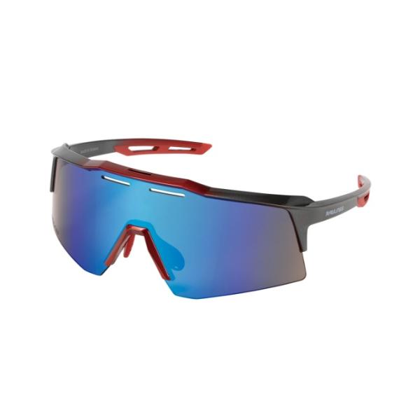 ローリングス Rawlings サングラス 偏光レンズ 偏光一眼サングラス REW25-01SM-MGRG himaraya_0000001232840