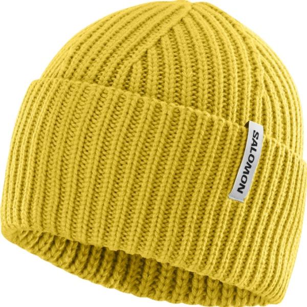 サロモン(SALOMON) ニット帽 メンズ レディース SNOWBIRD BEANIE スノーバードビーニー LC2629500 【国内正規品】
