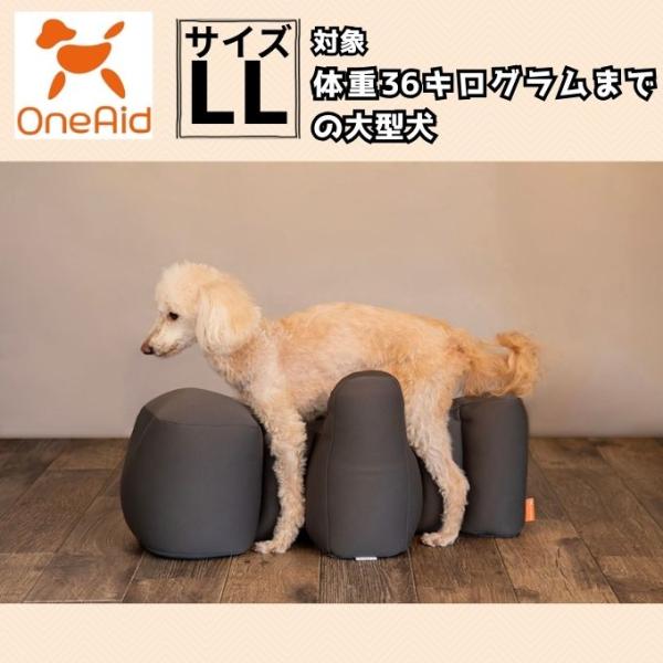 himaraya_0000001300261