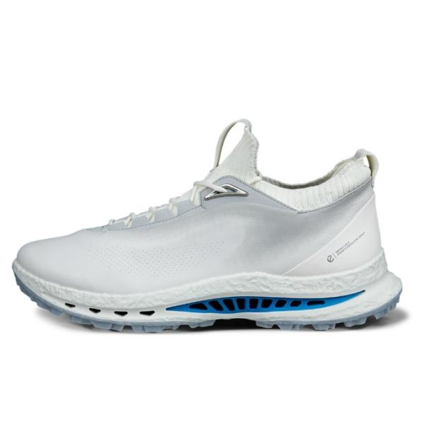 334番 超美品ECCO biom ゴルフシューズ38 24.0cmスパイクレス ecco（エコー） ゴルフシューズ スパイクレス メンズ BIOM C5 132604