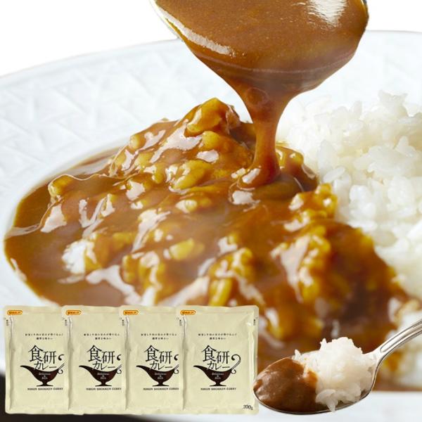 天然生活 食品 美味しいレトルト食研カレー4食 200g×4袋 SNC00010142 【メーカー直送】【ご自宅配送限定】‥