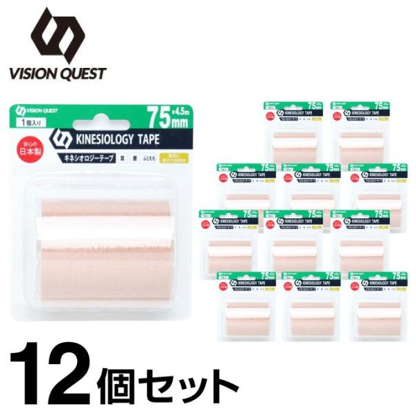 e[sO Lk LlVIW[e[v75mm 4.5m×12 v54m@VQ580201H11 rWNGXg VISION QUEST