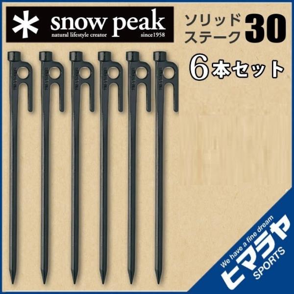 スノーピーク ペグ 6本セット 30cm ソリッドステーク30 R-103 snow peak