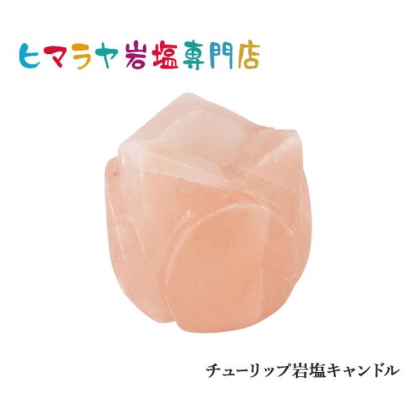 お部屋の空間を浄化し、リラックスしたい時にぴったりです。インテリアとしてだけでなく、リラックスタイムのお供としても活躍間違いなし。自然の力を取り入れたアイテムで心地よい時間を過ごしてみてはいかがでしょうか。※お取り扱いの際は、熱には注意して...