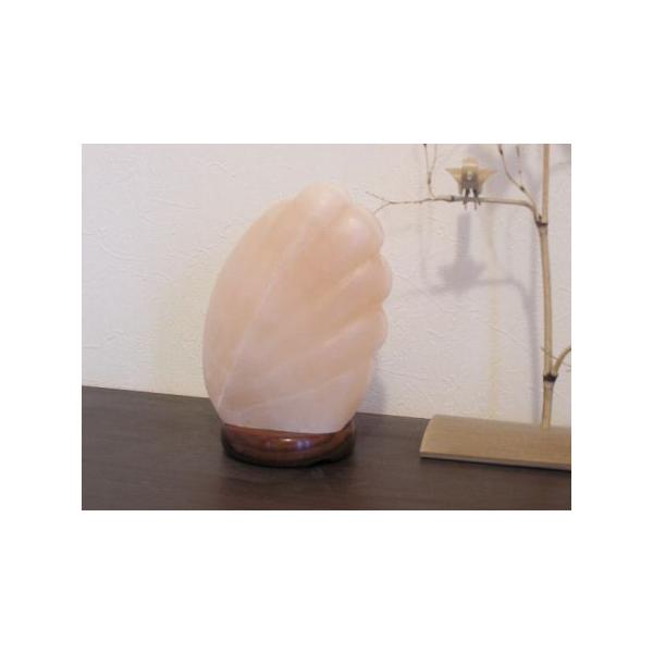 シェル岩塩ランプ : ヒマラヤ岩塩専門店 - 通販 - Yahoo!ショッピング
