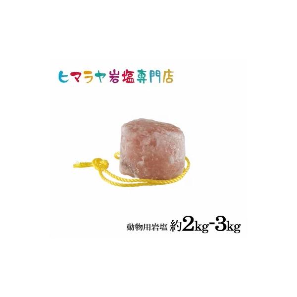 動物用岩塩(馬・牛・羊・家畜全般)約2〜3kgは、畜産業やペットの飼育のための理想的な栄養補給アイテムです。この岩塩は、自然の成分から作られており、動物たちの健康をサポートします。馬、牛、羊など、さまざまな家畜に最適です。※使用方法：本商品...