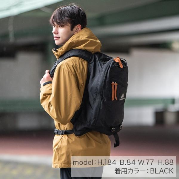 GREGORY（グレゴリー） バックパック デイパック DAY PACK 651691041