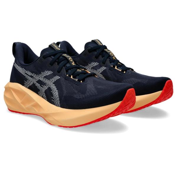 アシックス asics ランニングシューズ メンズ ノバブラスト 5 WIDE　NOVABLAST 5 WIDE 1011B975-404 run