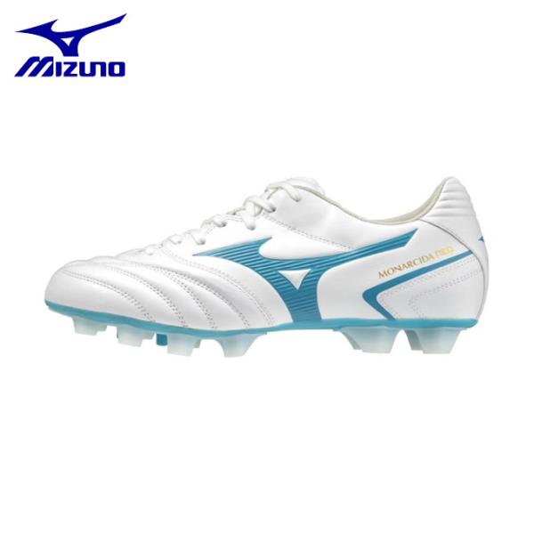 himarayasc_0000000969206