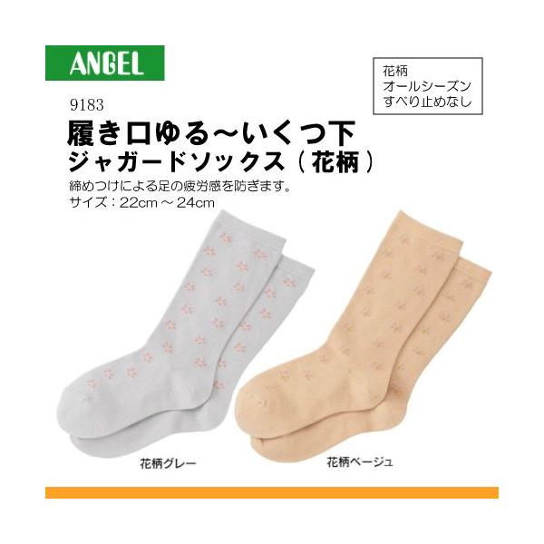 G[ 9183 ` sԕtTCYF22cm`24cm (ׂ~ߖ)