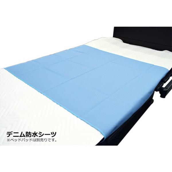 Џi Ђ܂ fjhV[c [175×90cm] J[Fu[ G00097bpi V[c hV[c phV[c pi hV[c