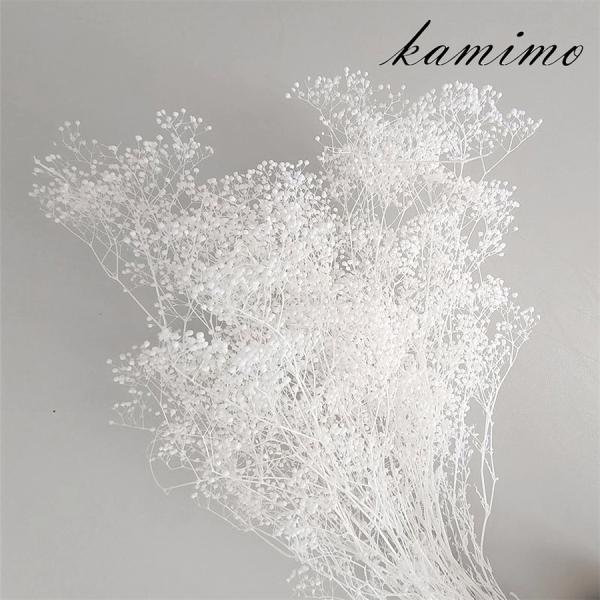 ★かすみ草 20g…プリザーブドフラワー 、なるべく実付きの良い部分を選別してお届けさせて頂きます♪★節または枝短くカットして　箱で発送します。自然素材・プリザーブド加工の特性上、茎や花粒の色合い（クリームっぽい物もあります）、形など個体差...