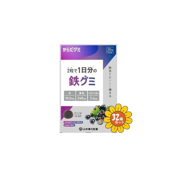「セット販売」「山本漢方製薬」鉄グミ　(からだグミ)　30粒　32個セット
