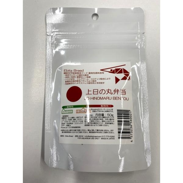 上日の丸弁当　５０ｇ（Ｅｂｉｔａ　Ｂｒｅｅｄ）