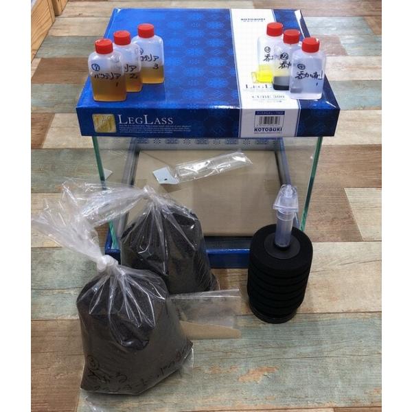 ３０キューブ水槽　丸ごと立上げセット（スポンジフィルター仕様）
