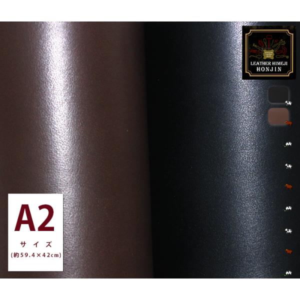 {v A2TCY KXkyI[_[JbgA[U[HAUVvgΉz{( nhCh U[Ntg )