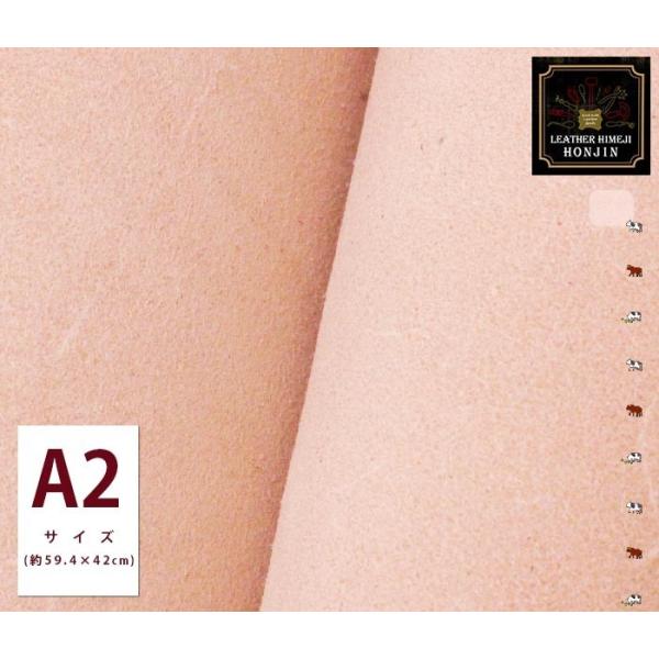 {v A2TCY kyI[_[JbgΉz{( nhCh U[Ntg )