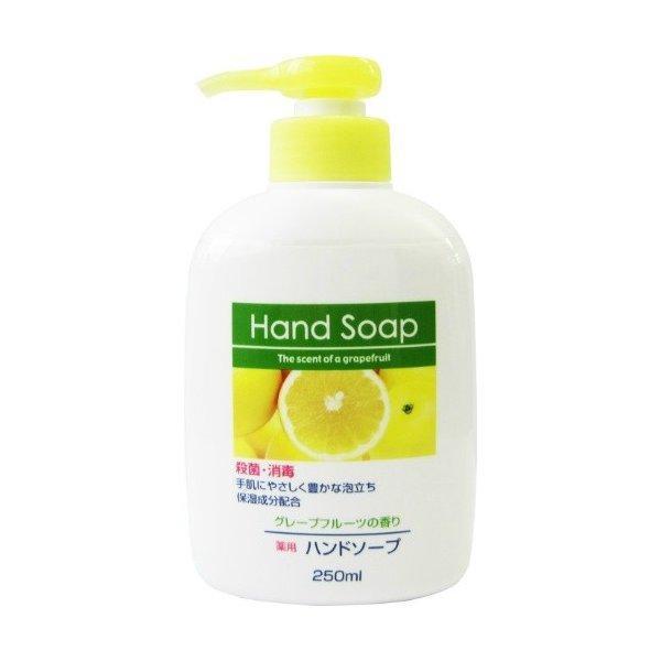 第一石鹸 薬用 泡 ハンドソープ 本体 250mL 医薬部外品 ×3個