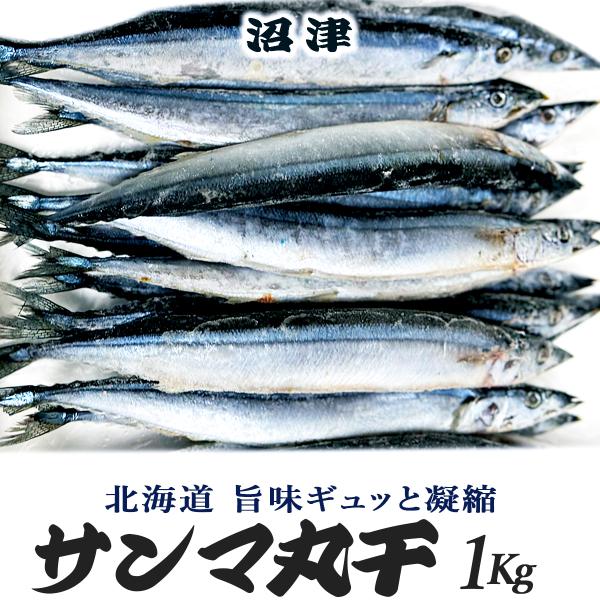 どっさり！＜人気商品＞さんま丸干し１Kg（１５〜１８匹目安）●品質に自信あり！さんま丸干し干物は、生さんまよりも小ぶりになりますが、旨味がギュッと凝縮されています。●北海道さんまを 沼津 干物加工しております。●イベントや集会、店主の方に大...