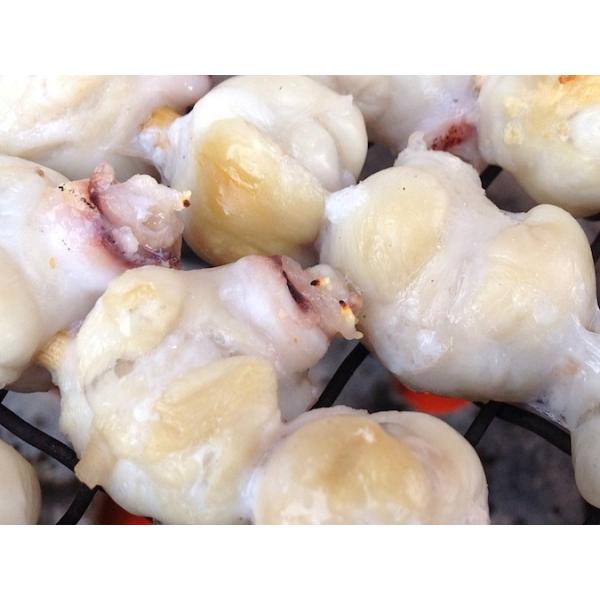 生イカとんび トンビ いかの口の部分 Buyee Buyee Japanese Proxy Service Buy From Japan Bot Online