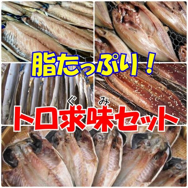 沼津の干物職人が手間暇かけ干し上げた干物の中から、アジ、サバ、ホッケなど脂乗りの良い魚を選んで詰め合わせました。贈答ギフトやご自宅用に人気のセットです。＜セット内容＞・真アジ（大）2枚・サンマ丸干し2本・ひものすてーきトロさば（サバの干物　...