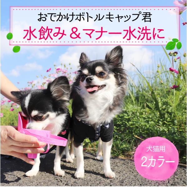 ドギーマン おでかけボトルキャップ君 ブルー ピンク (犬 猫 散歩 給水 水飲み 携帯用) :4976555930597:ひなたぼっこ!店 通販 ドギーマン シャワー付き ペットの水筒 ブルー S サイズ
