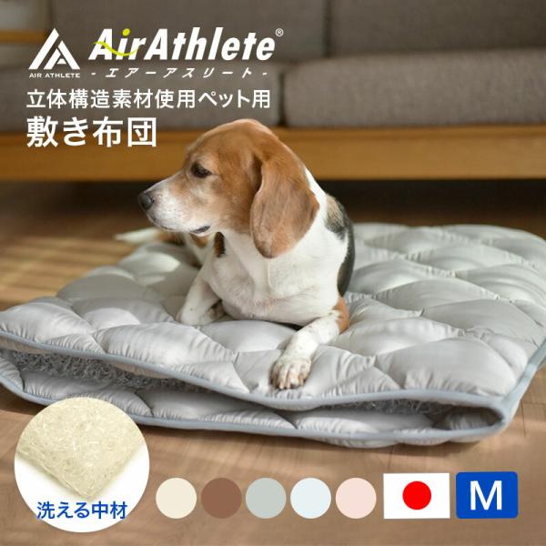 hinatanofuton_ry0202m