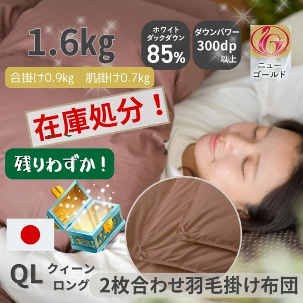 羽毛布団 クイーン 日本製 掛け布団 冬用掛けふとん ダウン 福袋 限定品 柄任せ 二枚合わせ ニューゴールドラベル 羽毛ふとん 工場 直売 羽毛ふとん