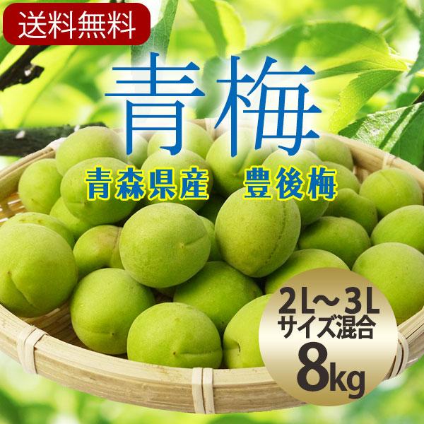 冷蔵）青森の青梅[豊後梅ぶんごうめ]2L〜3Lサイズ混合約8kg 梅 うめ 青