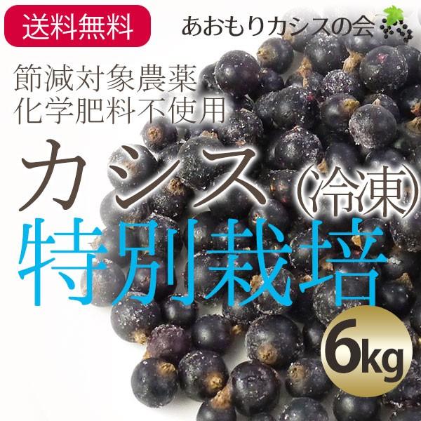 冷凍 青森カシス果実 特別栽培 サイズ混合約6kg あおもりカシスの会 送料無料 一部地域を除く Aomori Cas 016 ハイネットショップヤフー店 通販 Yahoo ショッピング