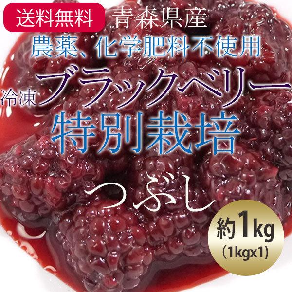 （冷凍）青森県産農薬・化学肥料不使用冷凍国産ブラックベリー果実（特別栽培）つぶし約1kg（1kgx1)国産