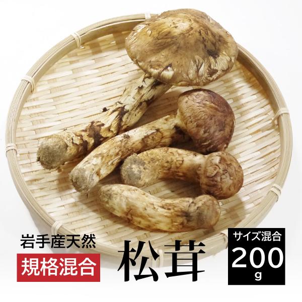 冷蔵）国産岩手の天然松茸【サイズ規格混合】約200g※採れ次第発送