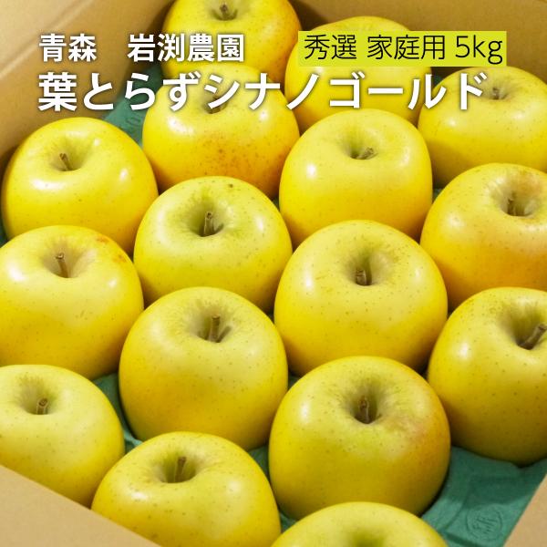 【送料込】スマートフレッシュ 葉とらず シナノゴールド 約10kg 32〜36個 葉とらずりんご「シナノゴールド」【秀選】家庭用5kgx1箱（14-20