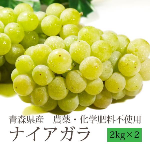 （冷蔵）青森県産ぶどう「ナイアガラ」農薬・化学肥料不使用約2kg（5〜房）ｘ2箱