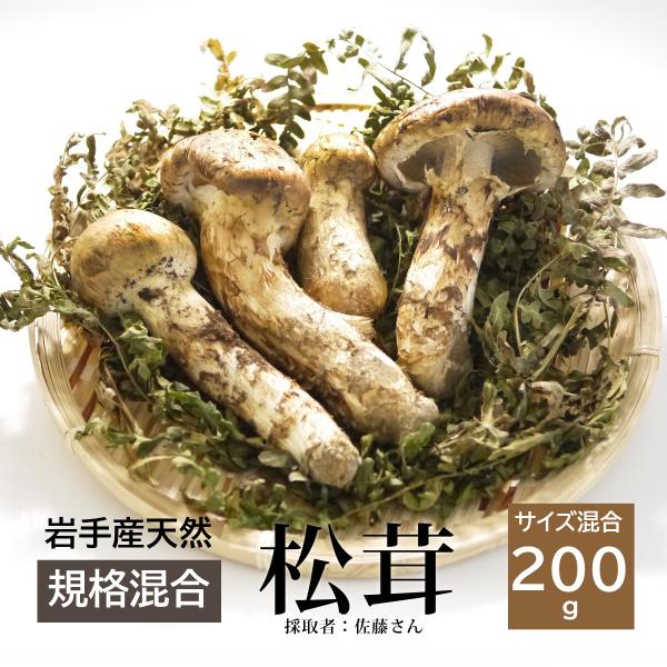 （冷蔵）国産「松茸」200g（サイズ規格混合）岩手産 [佐藤さん