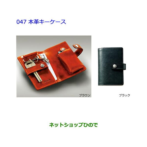 hinode-syoukai_10047858