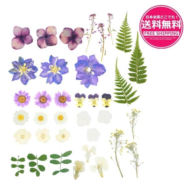 押し花 素材の価格と最安値 おすすめ通販を激安で