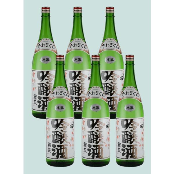 { oH ԋ { 1800ML 6{Zbg  |Cg5{Mtg R`  v[g   2023