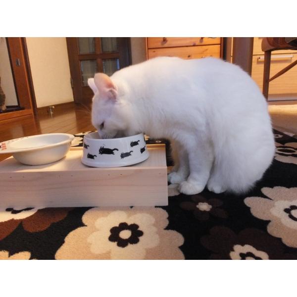 猫用食器台 国産ひのき 高さ5cm ネコ ねこ フードスタンド フード台 エサ台 Buyee Buyee Japanese Proxy Service Buy From Japan Bot Online