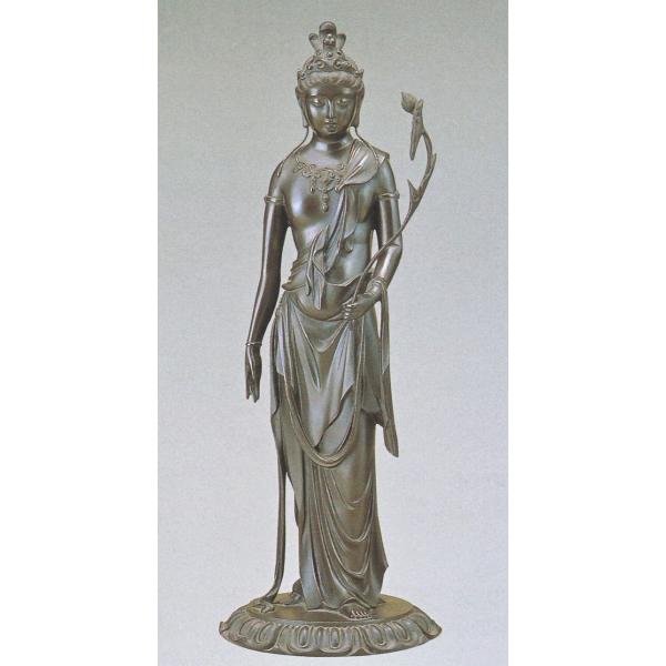 _̍i^ω @t()@̖̋@˔t@ʔ