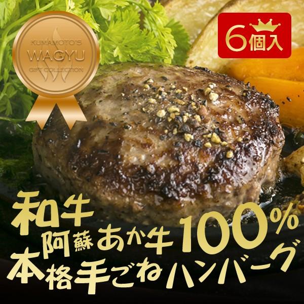 和牛 あか牛ハンバーグのギフトセット 1ｇ 6個 熊本県産あか牛100 の美味しいお取り寄せハンバーグ 国産 ギフト 冷凍 肉料理 0001 あか牛ハンバーグ通販 ヒノマル 通販 Yahoo ショッピング