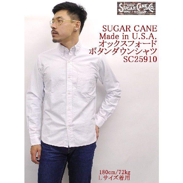 SUGAR CANE SUGARCANE（シュガーケーン） Made in U.S.A. OXFORD