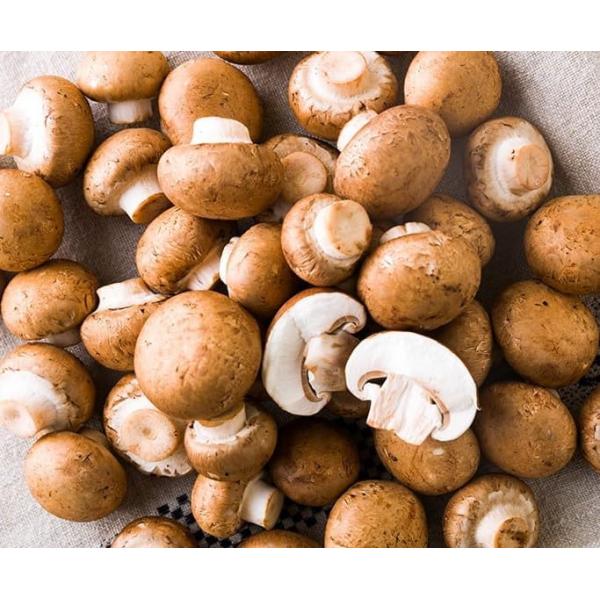 長谷川農産 ブラウンマッシュルーム A品 1kg 静岡県産