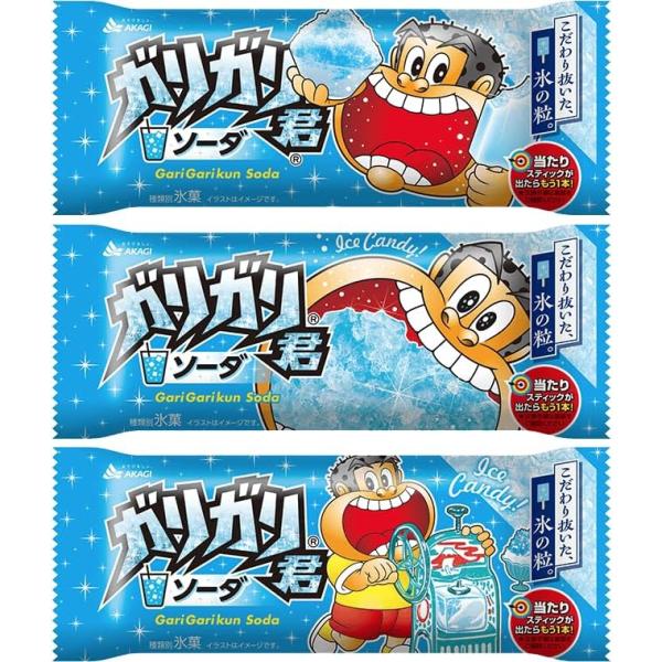 赤城乳業 ガリガリ君ソーダ105ml×33袋＋(おまけ1本付き) : ひのや