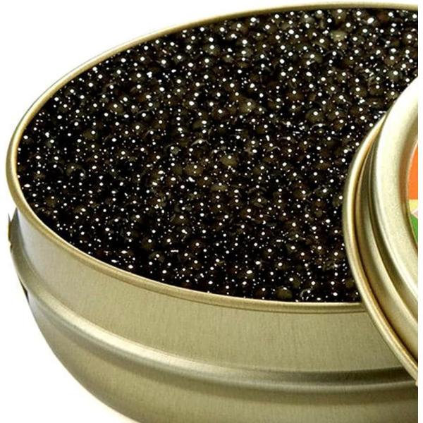 最高峰フレッシュキャビア フランス STURIA社製 (100g（50g×2）)【化粧箱入り】