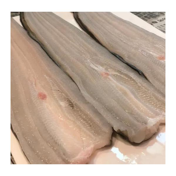 岩手県産 生開き穴子 約100g〜180g 1尾 神経〆