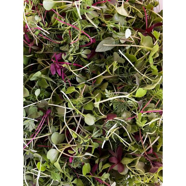 商品の説明 プロの皆様にオススメのハーブミックスをご用意いたしました！ 原材料・成分 フェンネル　チャービル