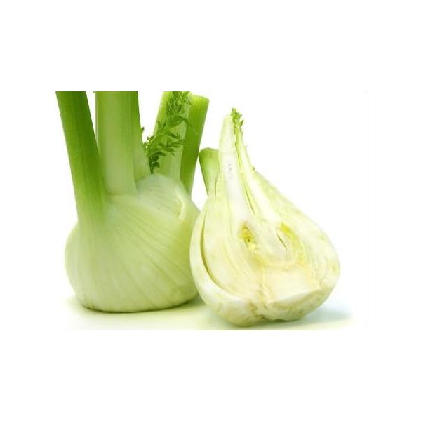 商品の説明 フィノッキオは、日本では茴香(ういきょう)、フェンネルと呼ばれる野菜です。 セリ科の植物で香りが強く、味はセロリに似て癖があります。 日本では生産量も少なく、故に高級食材扱いですが、イタリア・シチリア島の料理ではこの季節なくては...
