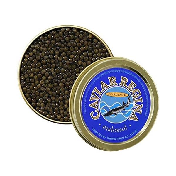 イタリア産 パストライズ キャビア レジーナ・アルジェント 50g