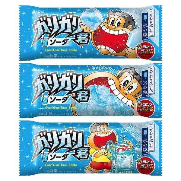 赤城乳業 ガリガリ君ソーダ 105ml×34本(33+1)